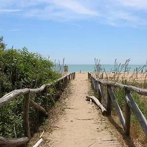 Zenith Bibione